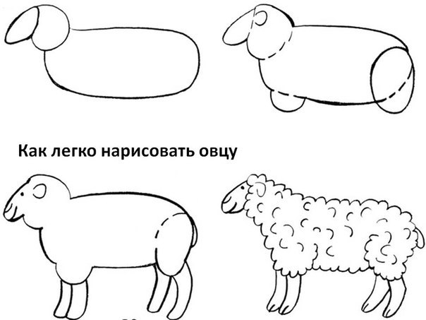 Аппликация овечка из цветного картона