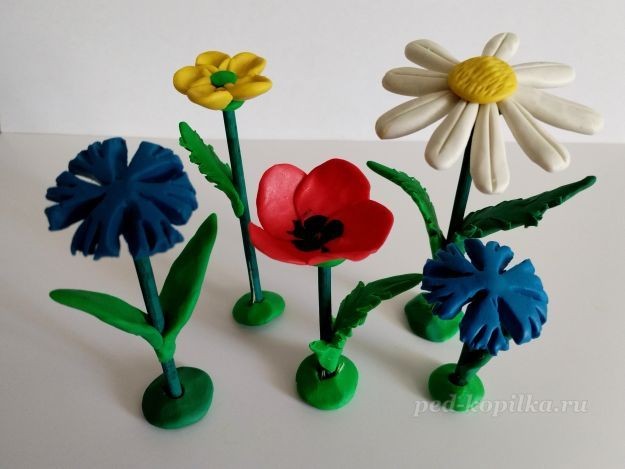 Полевые цветы из пластилина