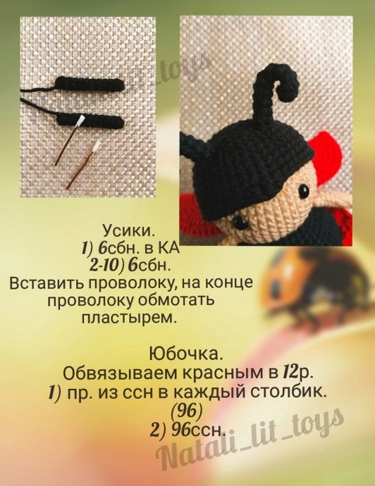 Божья коровка