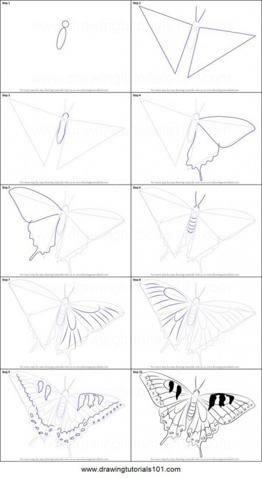 ​Рисуем с детьми самых разных бабочек