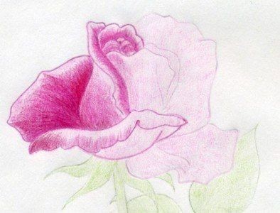 Рисуем с детьми розу